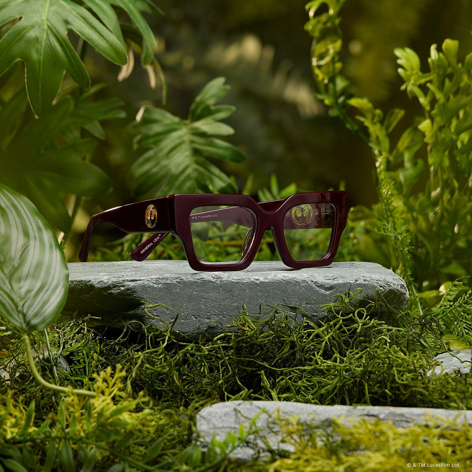 GENERAL LEIA™ - REGAL AUBERGINE CRYSTAL + GLASSES - Image 2