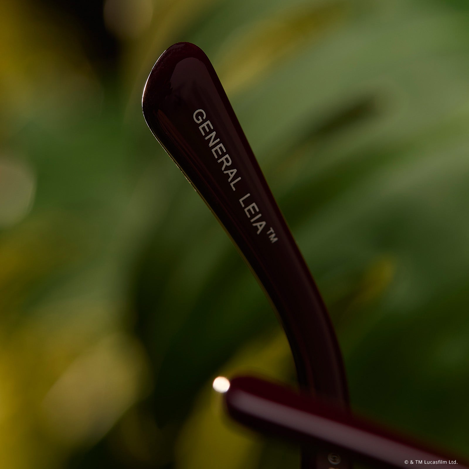 GENERAL LEIA™ - REGAL AUBERGINE CRYSTAL + GLASSES - Image 9