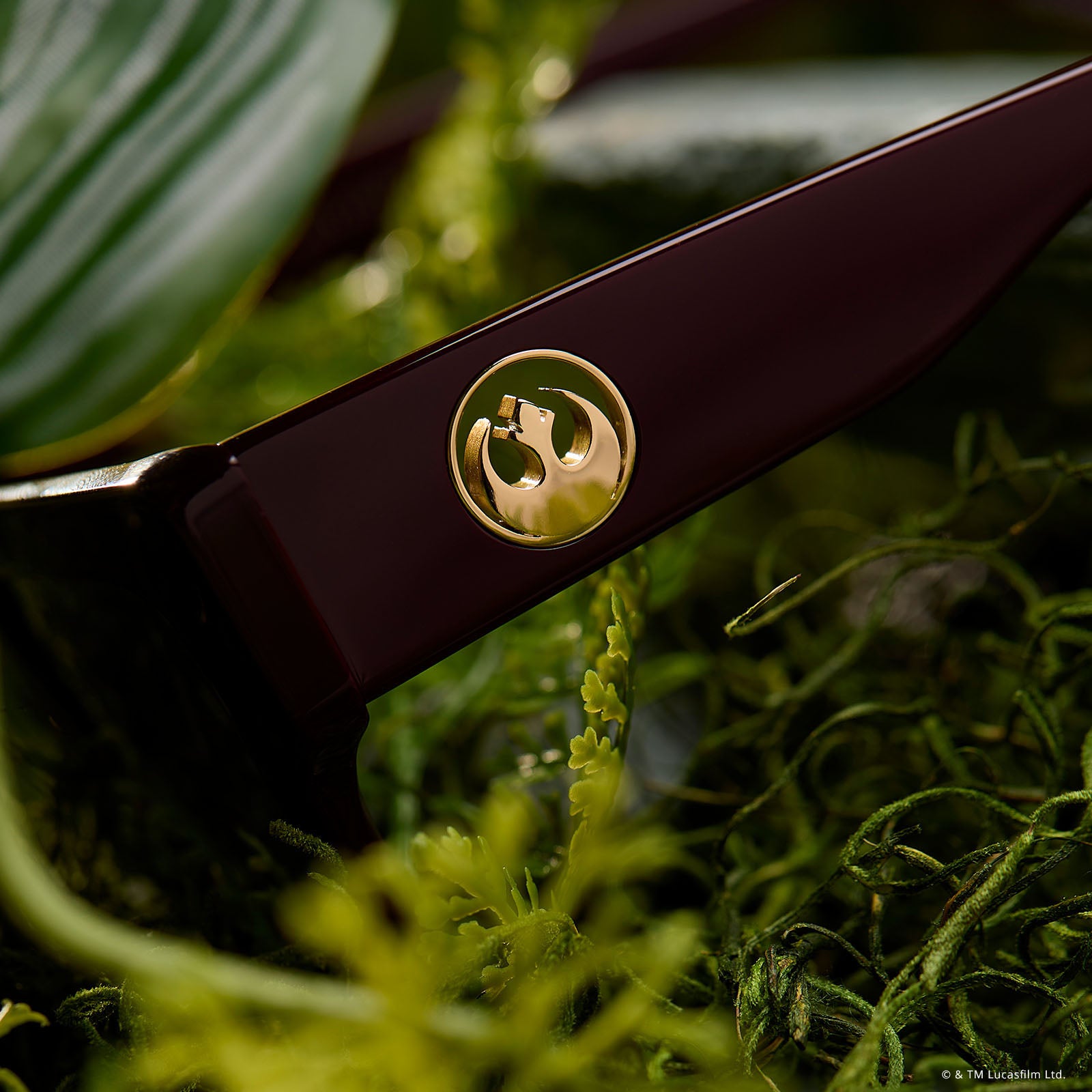 GENERAL LEIA™ - REGAL AUBERGINE CRYSTAL + GLASSES - Image 11