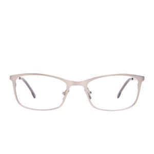 BERNIE - BRUSHED SILVER + GLASSES