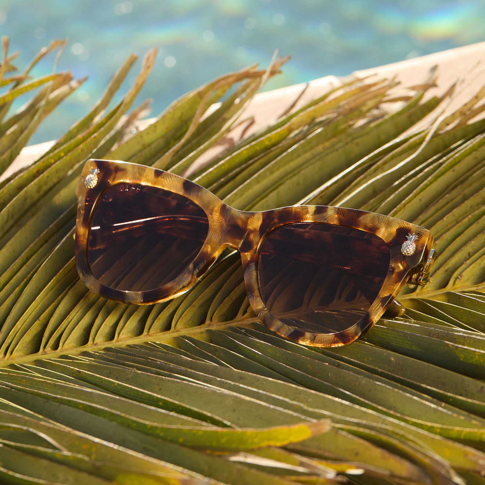 HAWAII - COCONUT PALM TORTOISE + BROWN SUGAR GRADIENT SUNGLASSES - Image 4