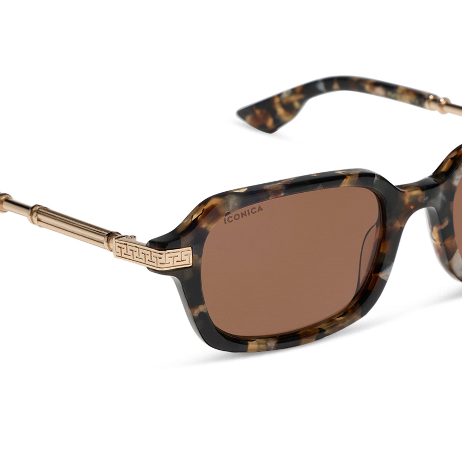 COSETTE - TORTOISE + BROWN + POLARIZED + SUNGLASSES - Image 4